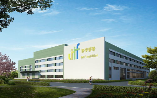 麥孚營(yíng)養(yǎng)科技 北京信息技術(shù)咨詢服務(wù)助力健康產(chǎn)業(yè)智慧升級(jí)